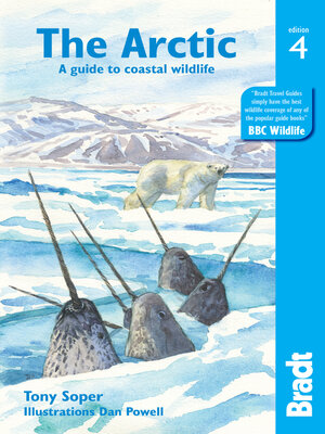 cover image of Arctic